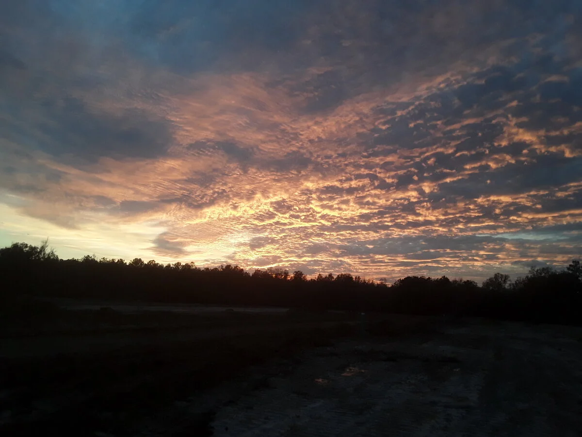 20201211_170636.webp