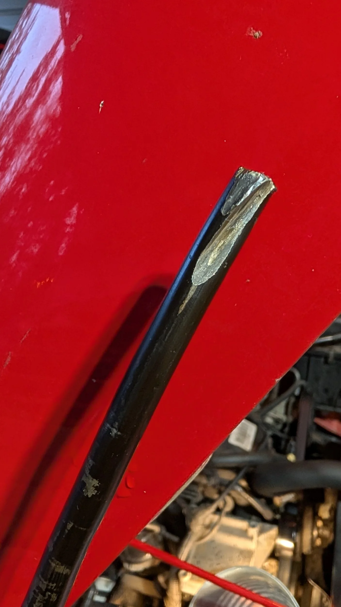 2138.webp
