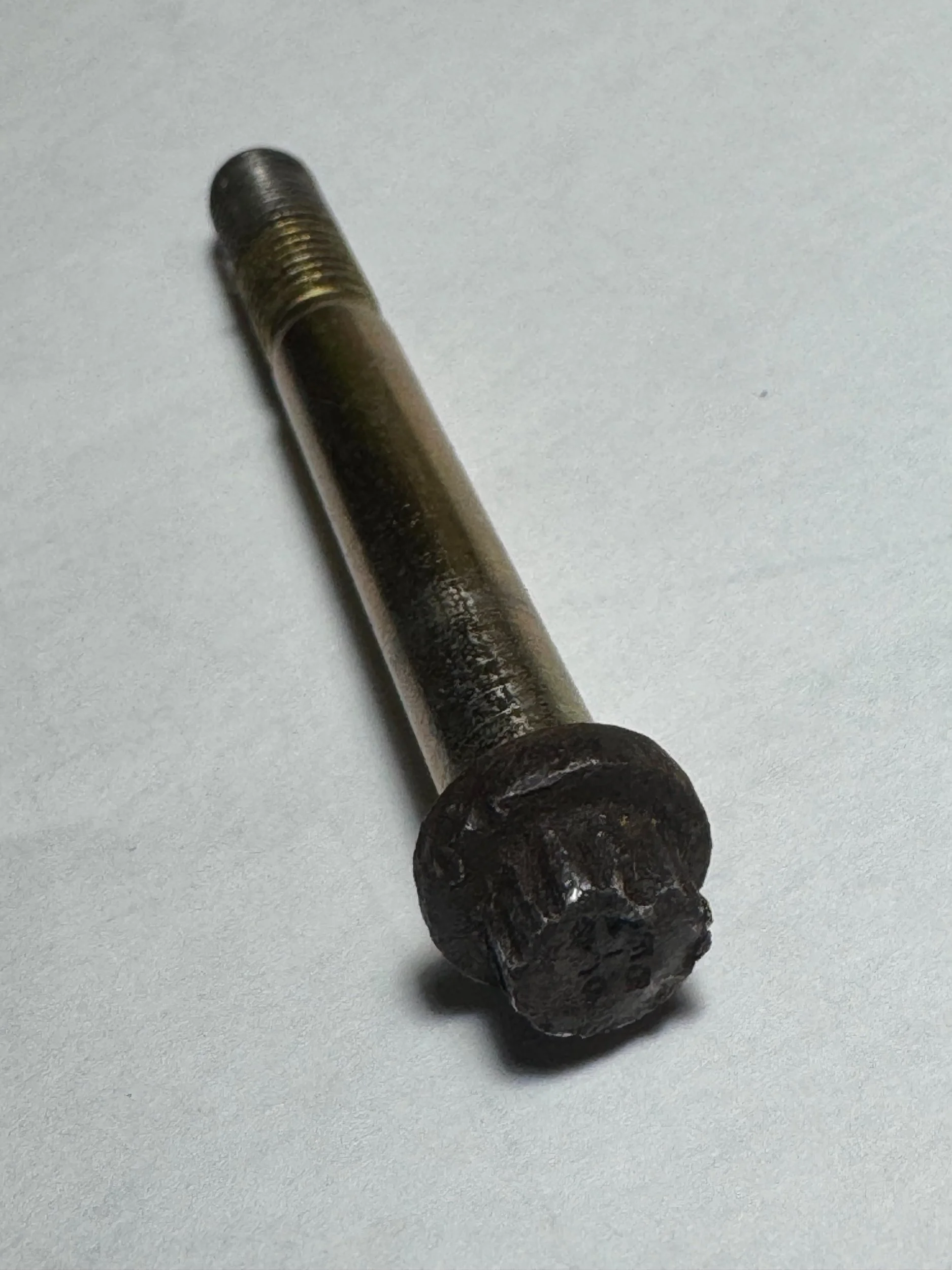 Bolt.webp
