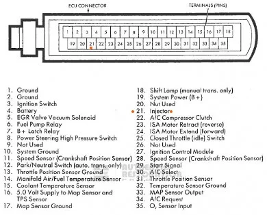 ECU PINS.jpg