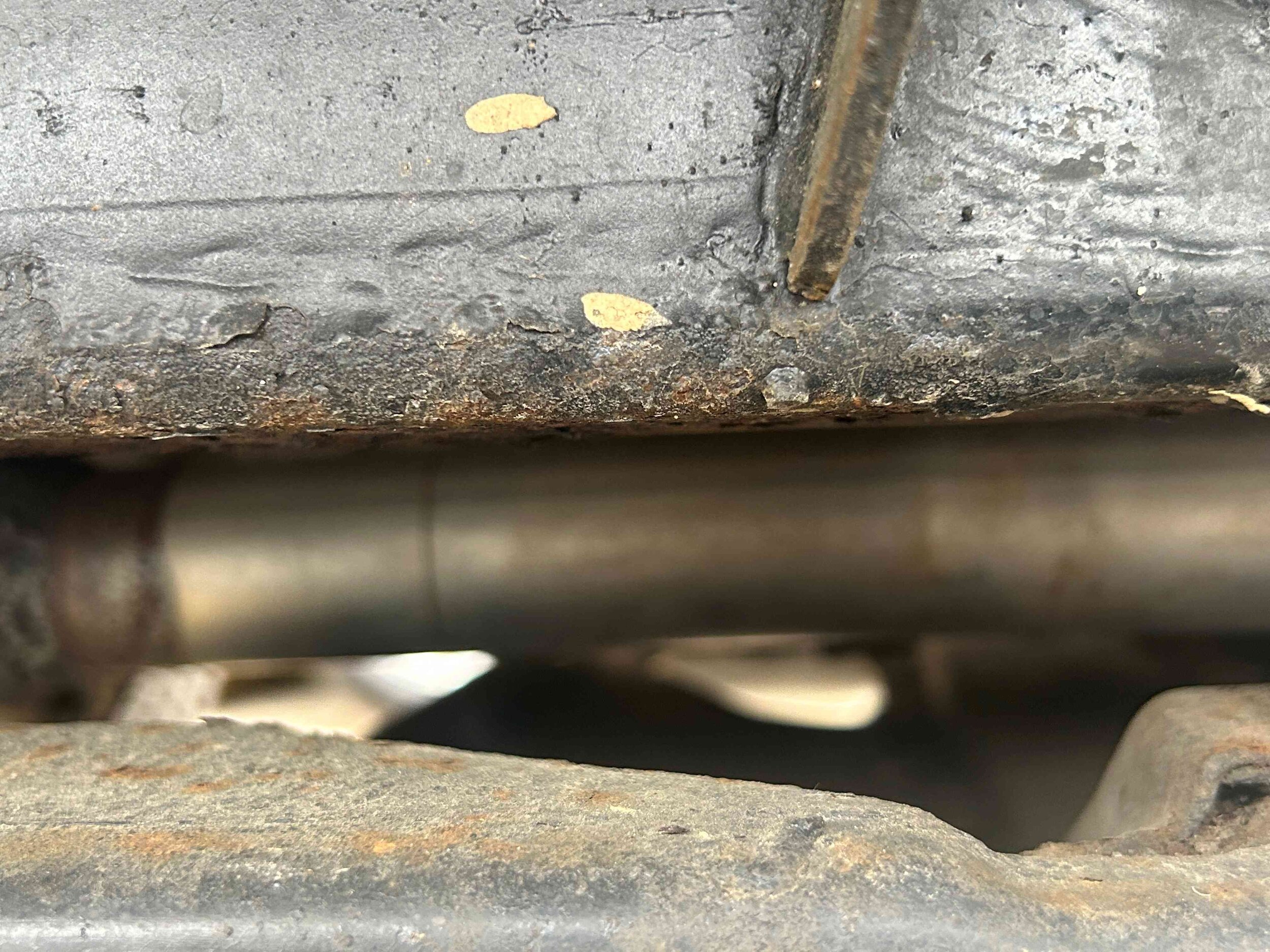 Photo Apr 10 2024, 3 56 33 PM.jpg