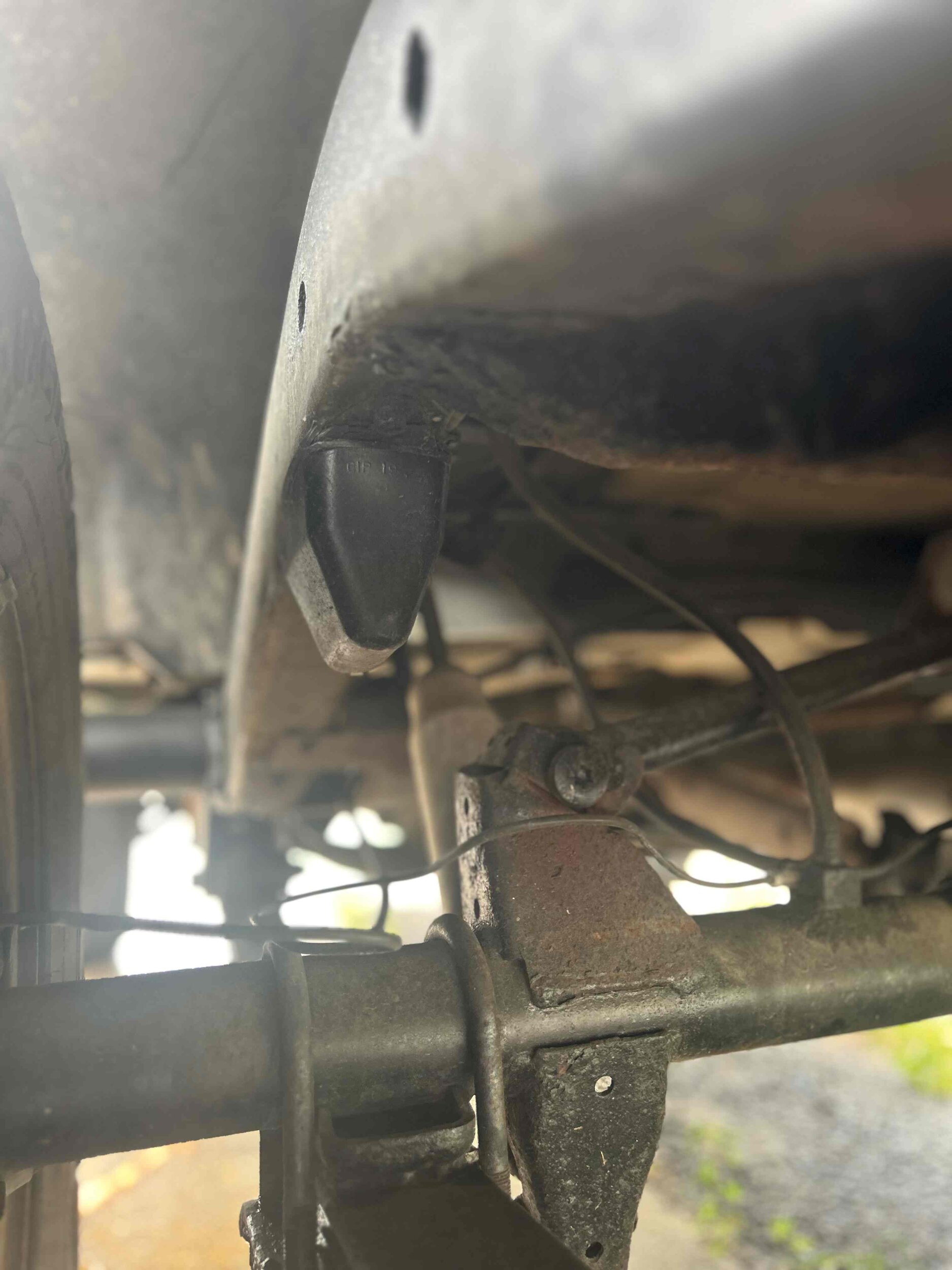 Photo Apr 10 2024, 3 57 47 PM.jpg