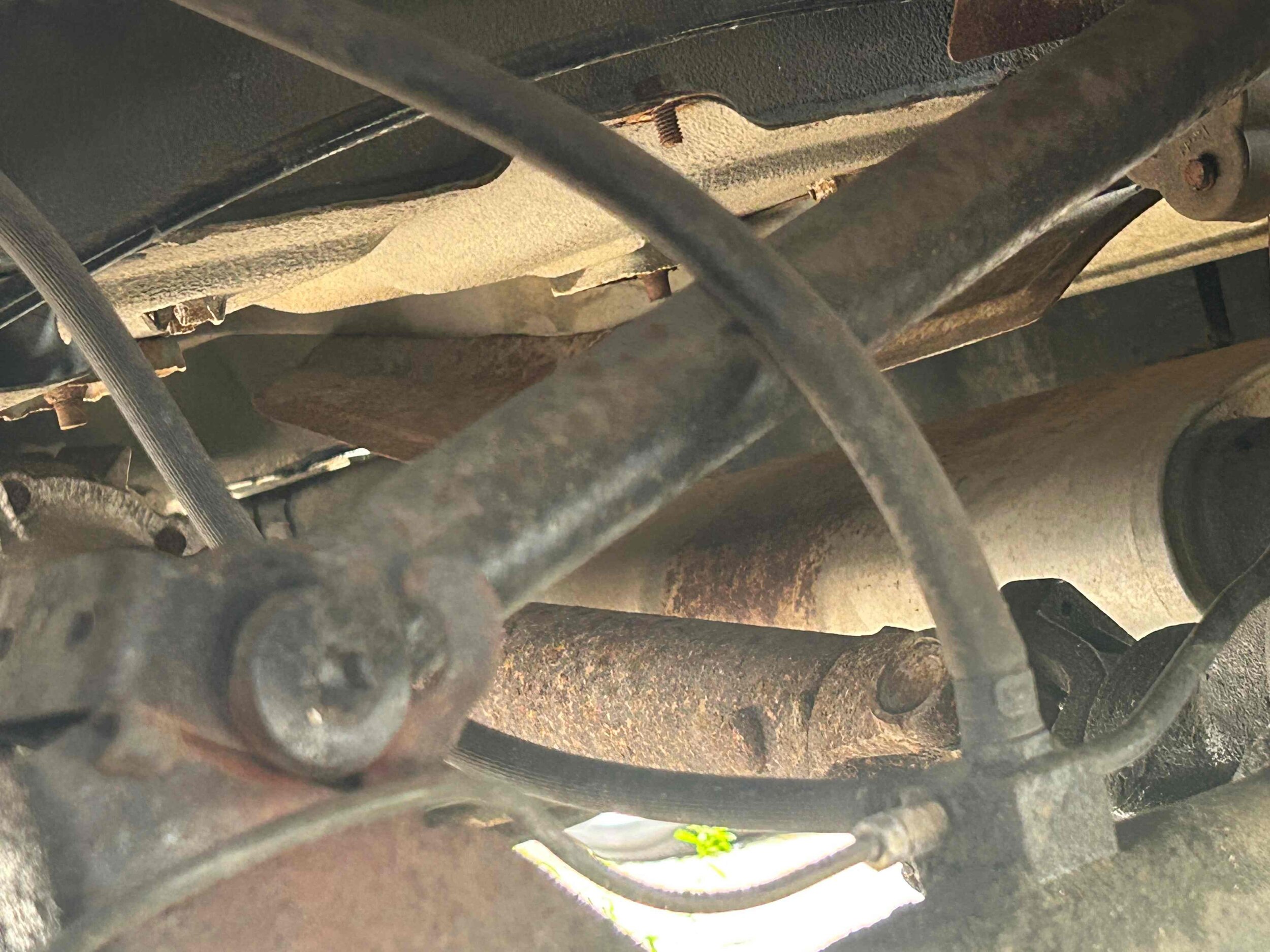 Photo Apr 10 2024, 3 57 58 PM.jpg