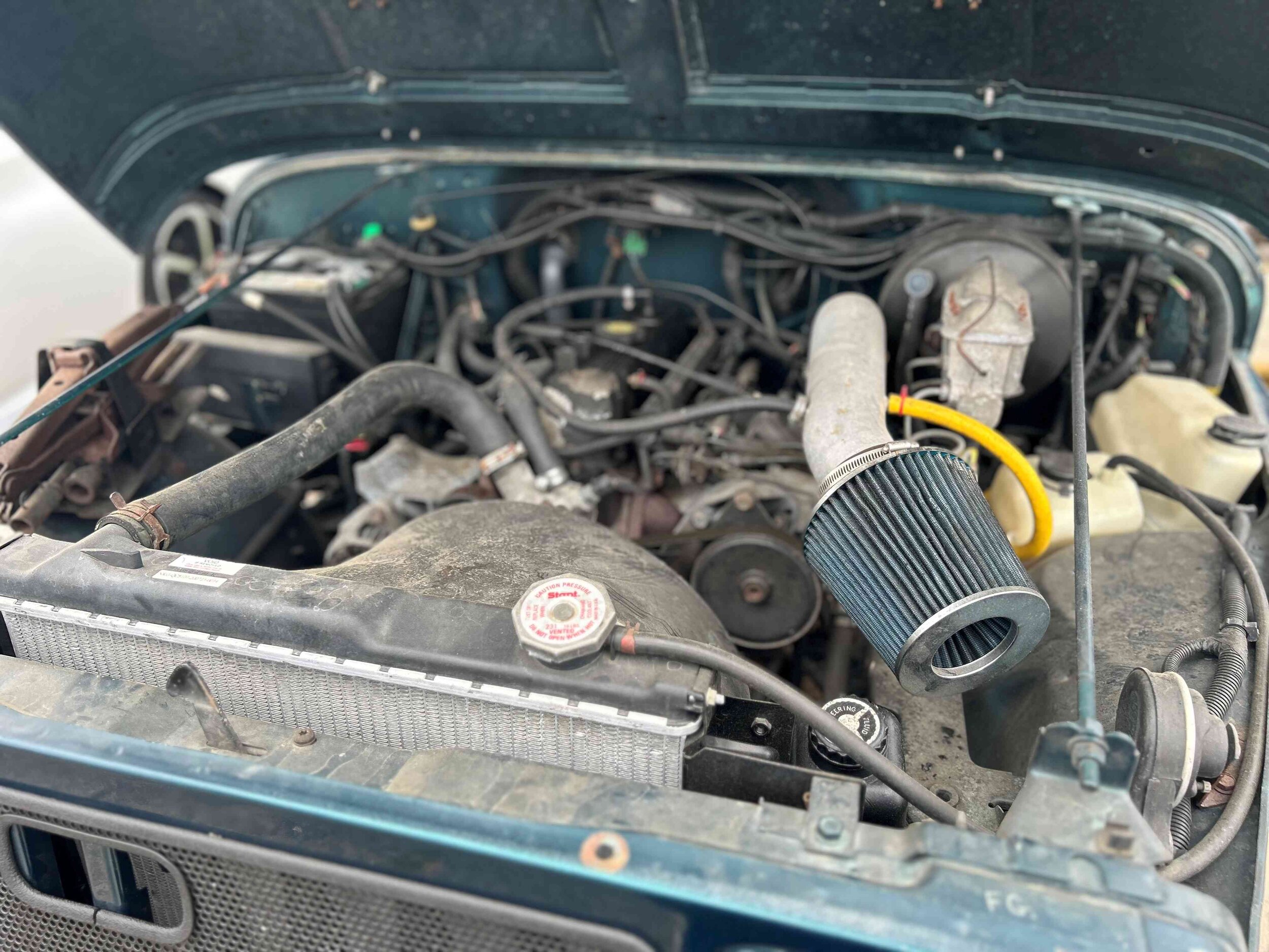 Photo Apr 10 2024, 4 17 35 PM.jpg