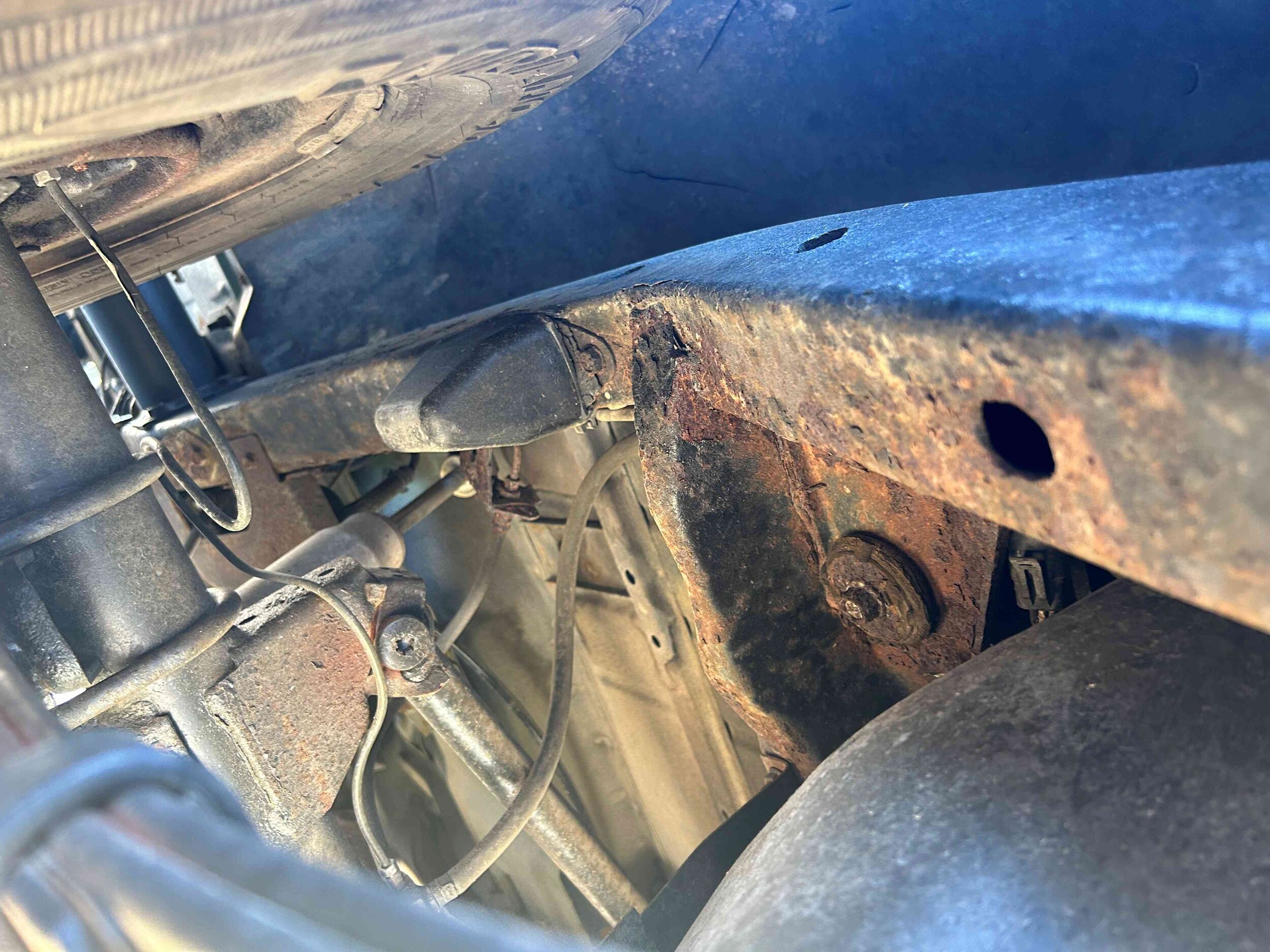 Photo Apr 11 2024, 4 42 58 PM.jpg