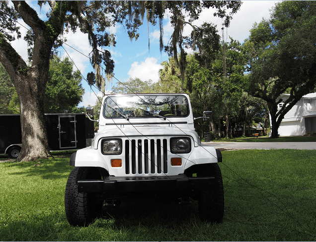 Whitey 2 2020-09-09 145552.png