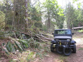 4   28  2021 011.JPG