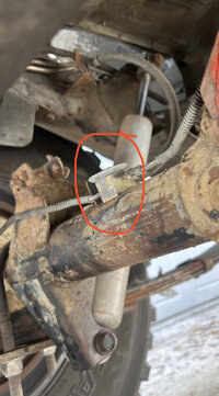 IMG_0125.jpeg IMG_0125.jpeg