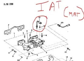 iat.webp iat.webp