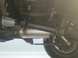 IMG_3941.jpeg IMG_3941.jpeg