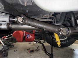 IMG_4026.jpeg IMG_4026.jpeg