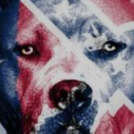 stardog